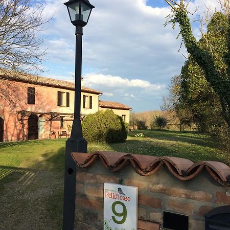 Agriturismo Il Pettirosso Guest House Forli Luaran gambar