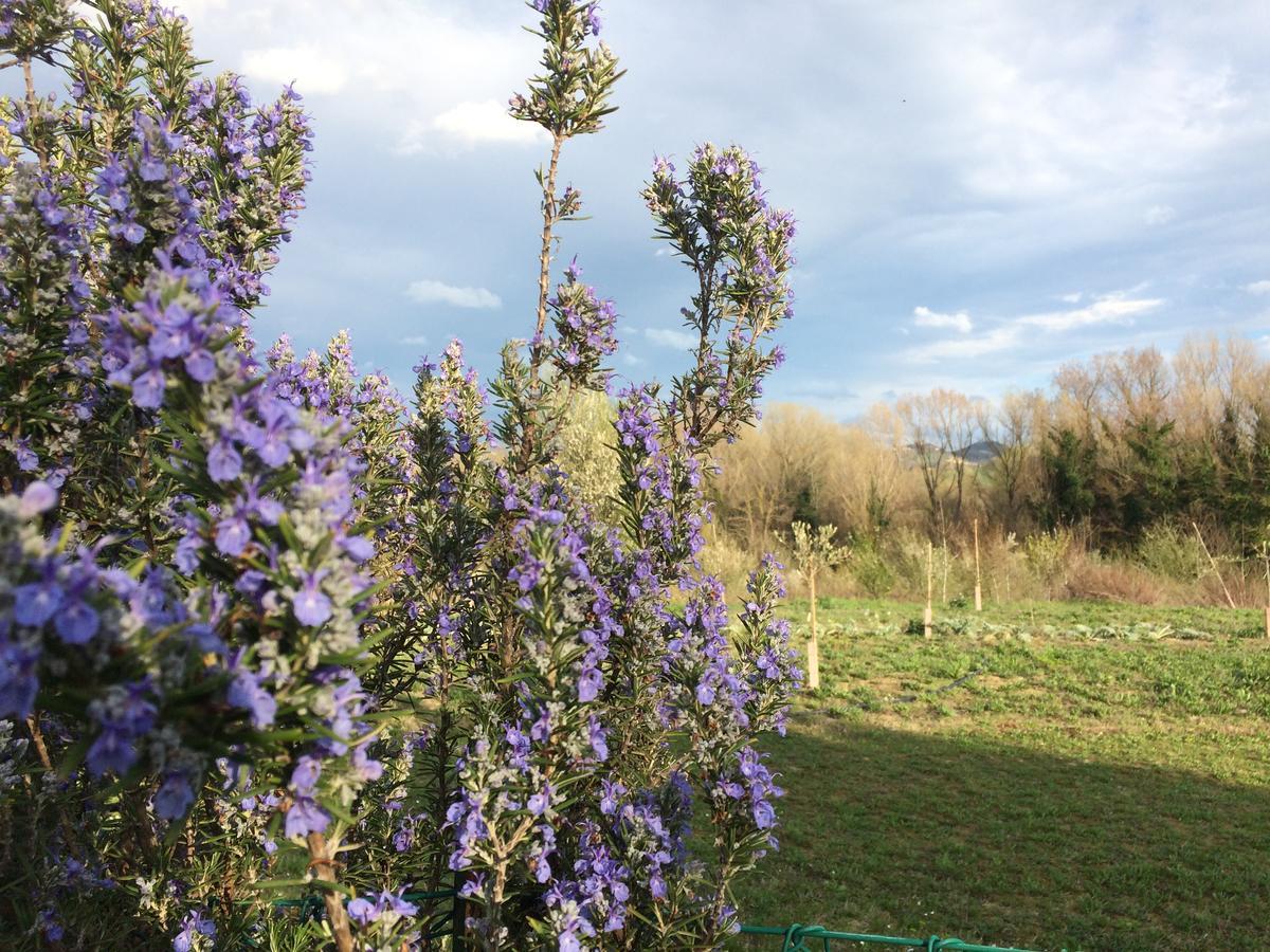 Agriturismo Il Pettirosso Guest House Forli Luaran gambar