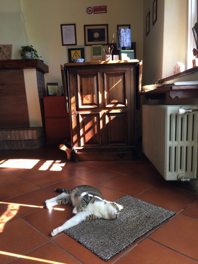 Agriturismo Il Pettirosso Guest House Forli Luaran gambar
