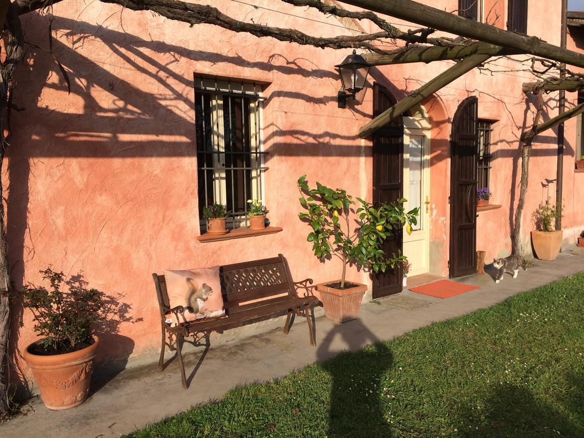 Agriturismo Il Pettirosso Guest House Forli Luaran gambar