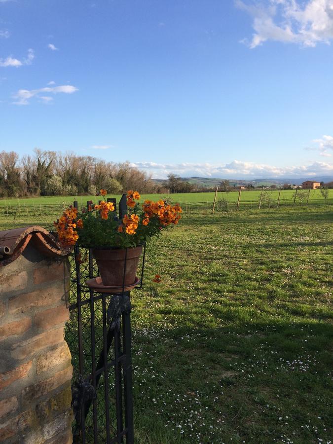 Agriturismo Il Pettirosso Guest House Forli Luaran gambar